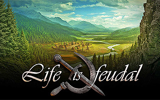 The donation system for Life is Feudal